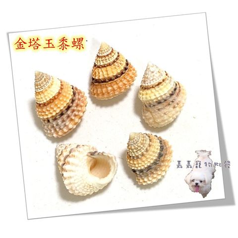 a9a26f37514e01e70bc37fa9b0bb72ee