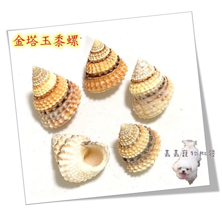 a9a26f37514e01e70bc37fa9b0bb72ee