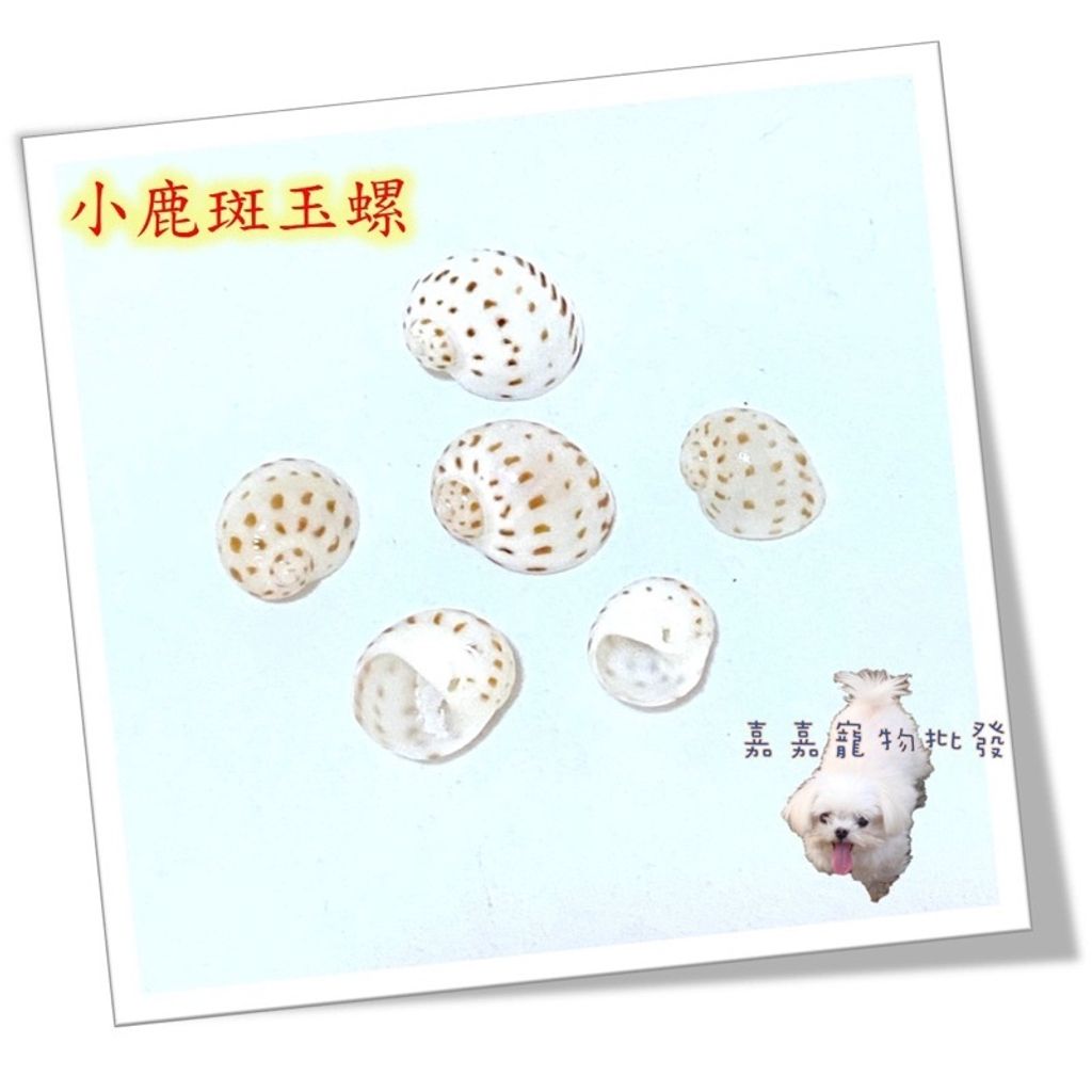 62c2801619b95a5a6fff9c24c470937d