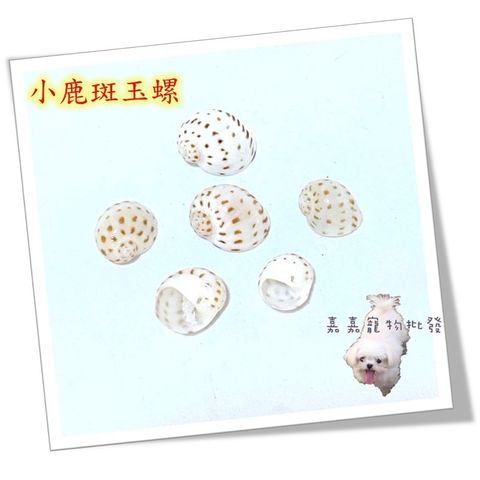 62c2801619b95a5a6fff9c24c470937d