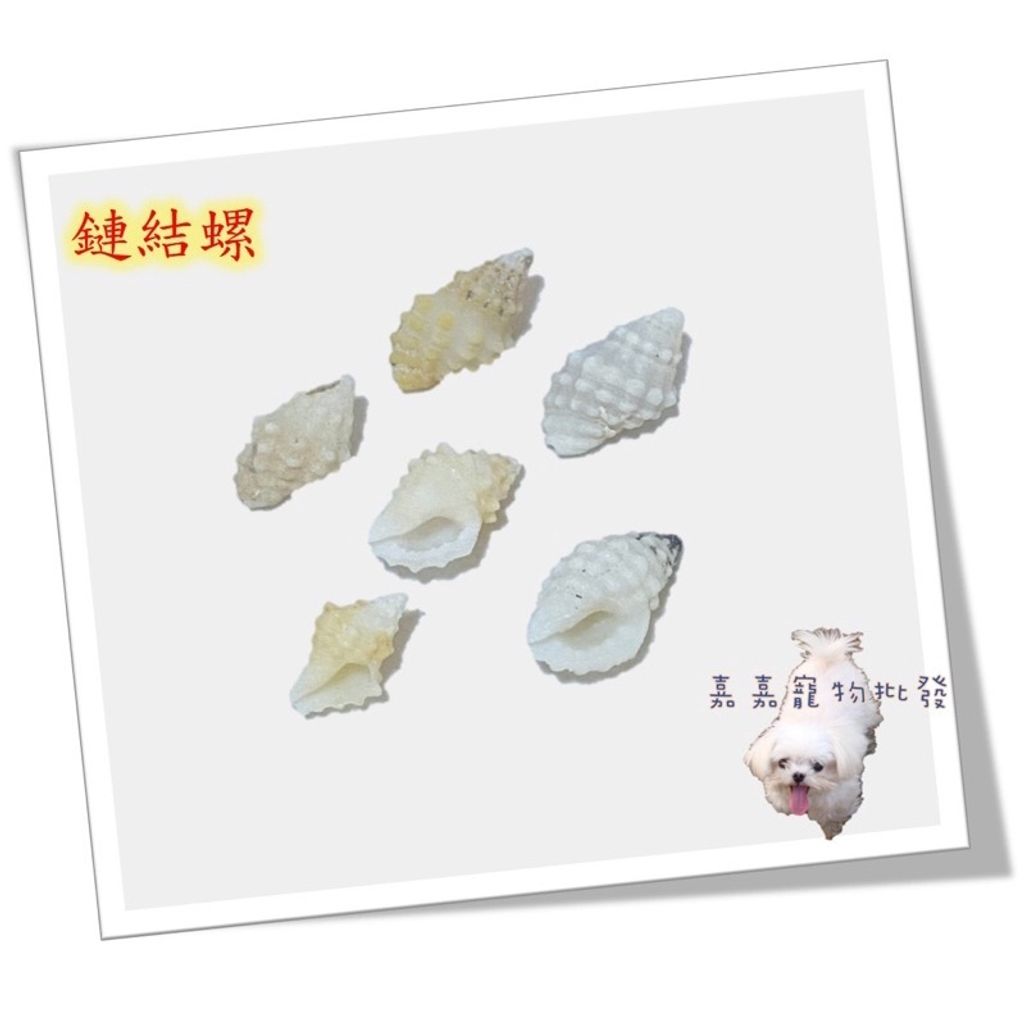 fa0244b1150d6555ebbb33d44a3a7127