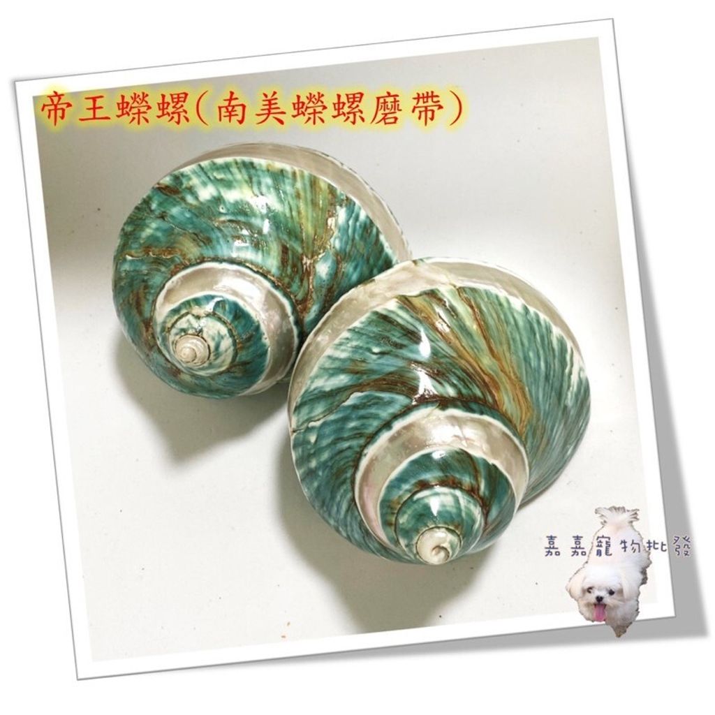 98d177bcd44308fbddc8565e9f12a8b2