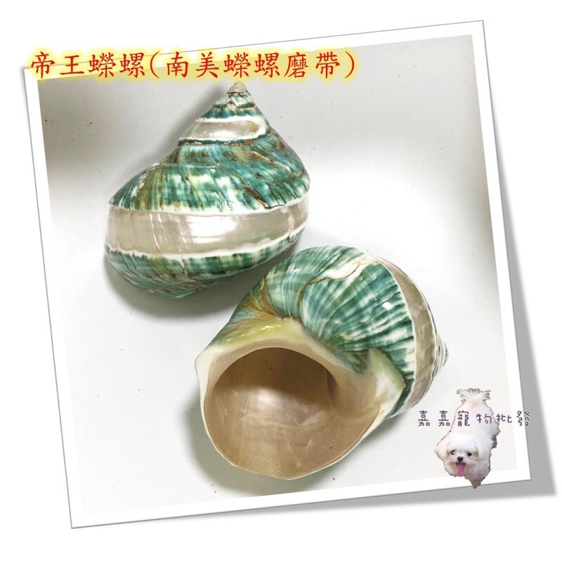 59465452.jpg?width=480
