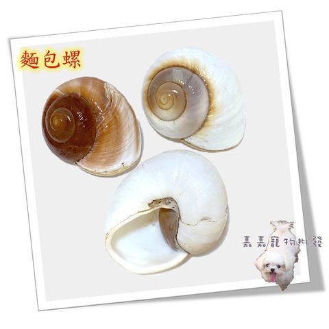 f54e229c07a962ee4a58517a0660368f