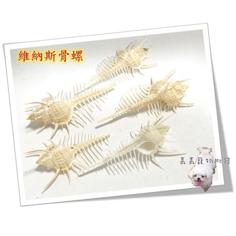 63fd6ab5b4bb4b85030dc5b9241b1da0