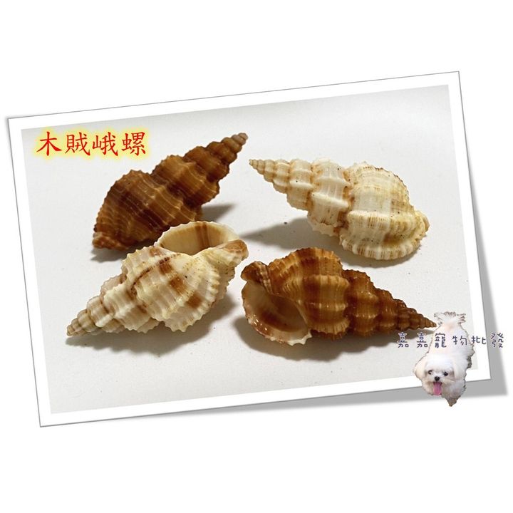 228a97c3cd39bd070cdcf64517cb72b5