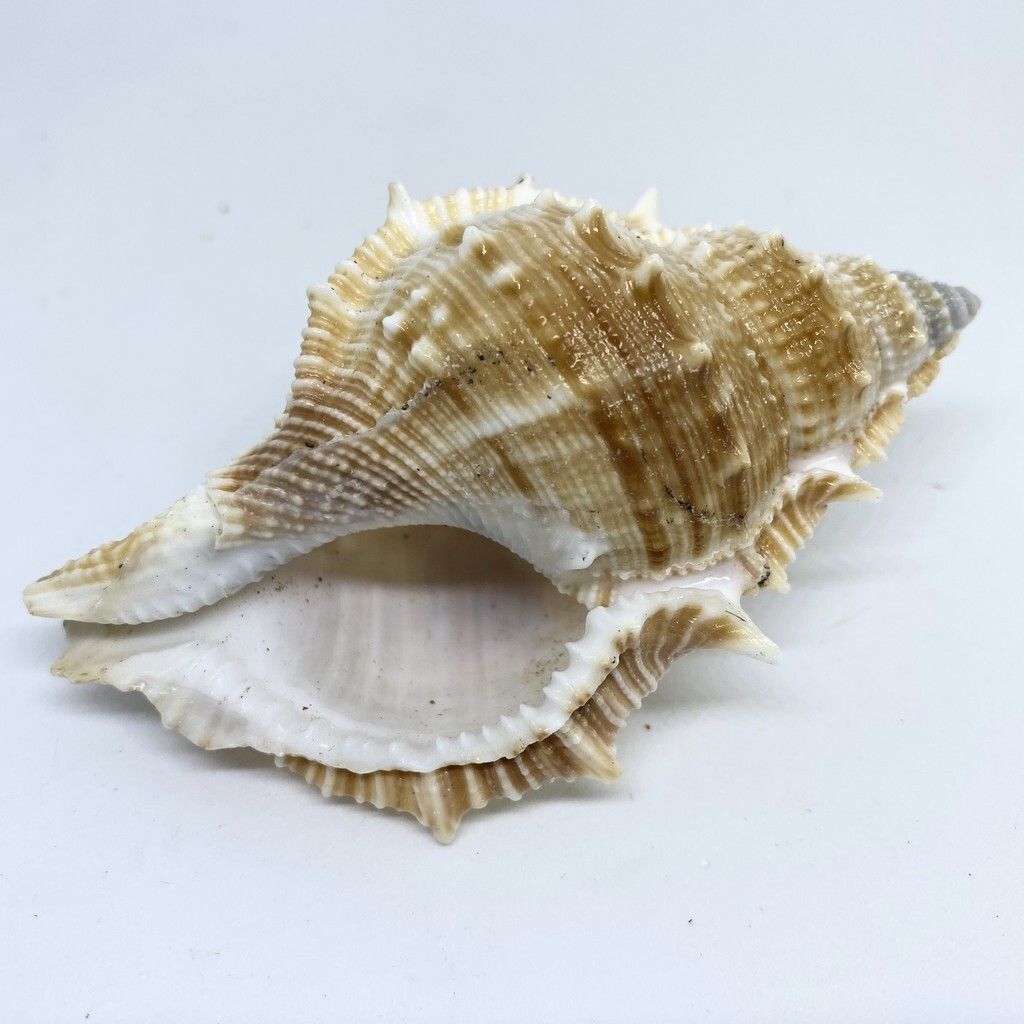 7d98ef5a16482e69ae2e0d38562f186d