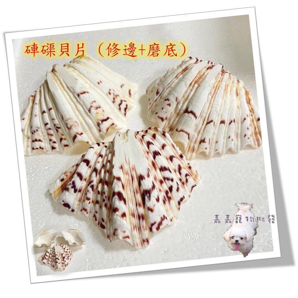 199fe4f8692a37b7b76b5e2618b6ff86