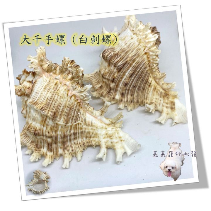 ef056d7958ca8f886209d0059ef13639