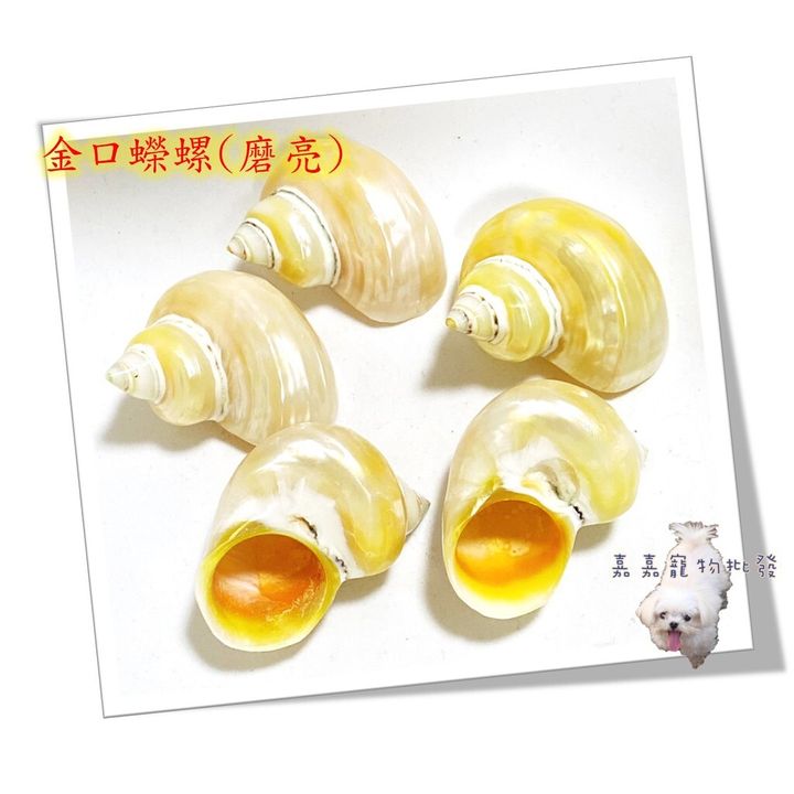 9168a3e7c8c0b7e41c78313c49d5c6ec