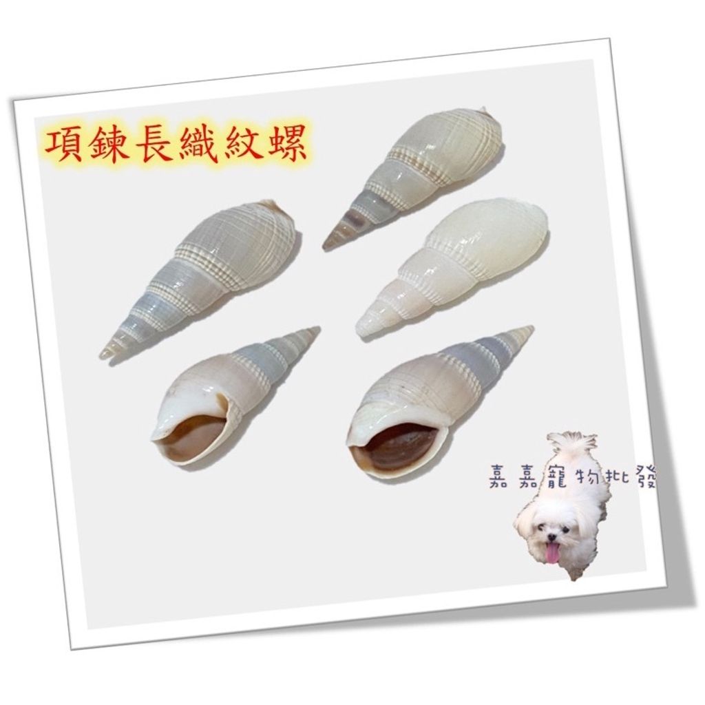 6f4be1a40d24e21e3e7ed3cfb5a51753