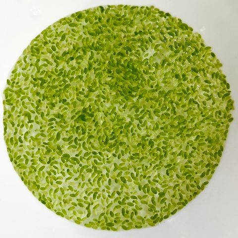 tw-11134207-23030-cshd06cpt6nv0e
