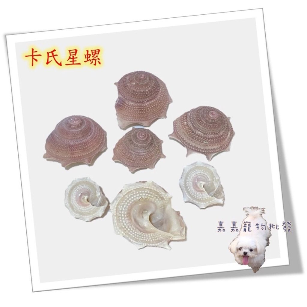 dd20a68c83091950d3bcb19c5355ffcb
