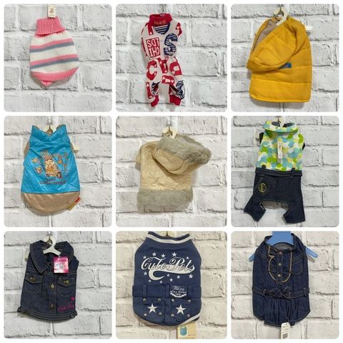 45d18bee6d8780ea4894136701709dd2