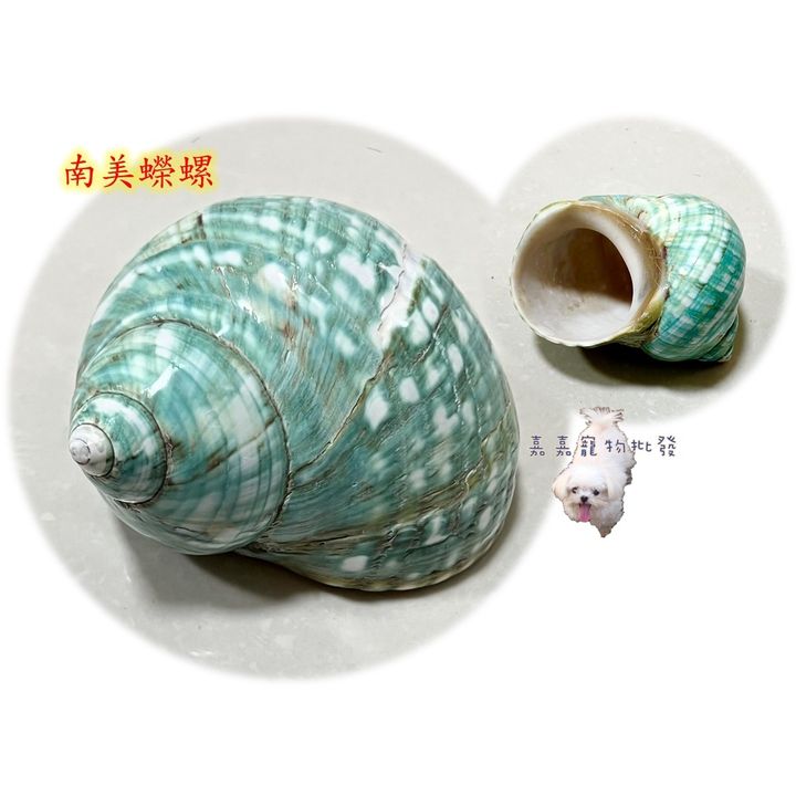 03b9393d92ff871d3e8d7af14aaf2b54