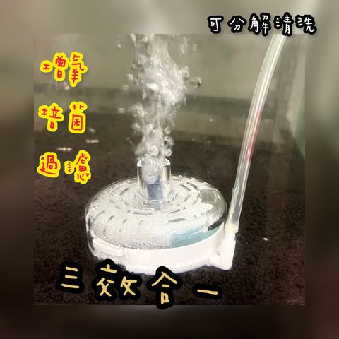 tw-11134207-7qul8-lg7x6l9aph4xb6