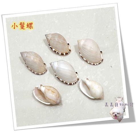 tw-11134207-7qukx-lfe63t28mnzef9