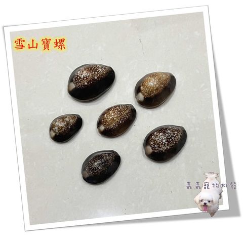 tw-11134207-7qul6-lfe91f9ujxm27b