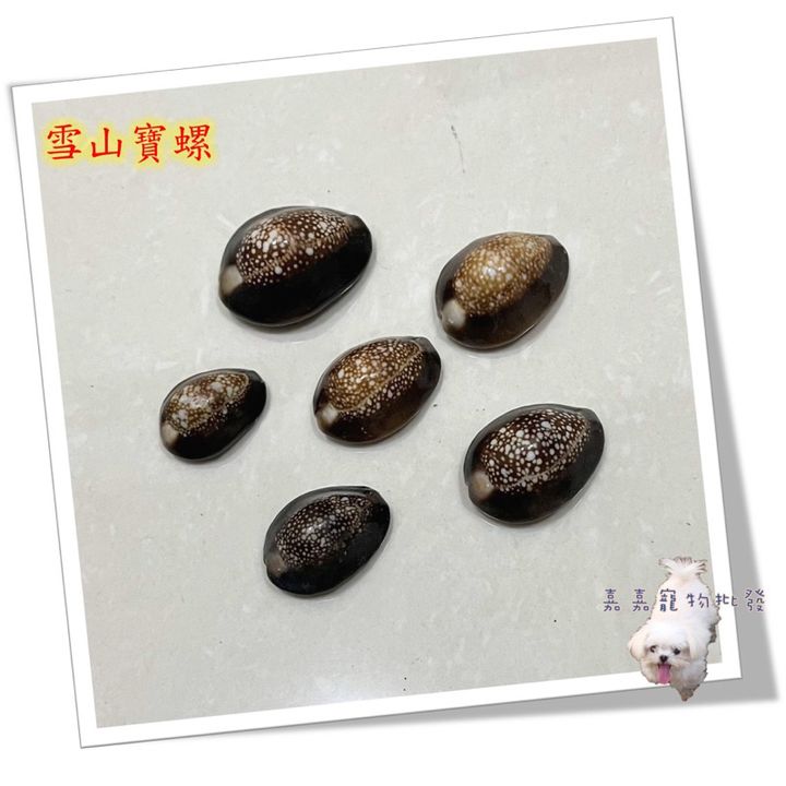 tw-11134207-7qul6-lfe91f9ujxm27b