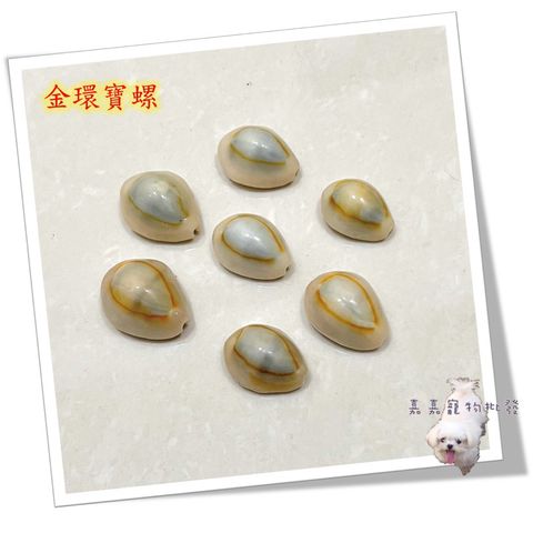 tw-11134207-7qul0-lfe8xl5yno5p06