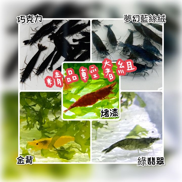 photo-output 3