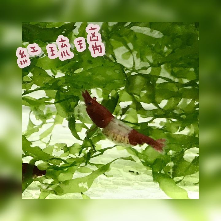 photo-output 22