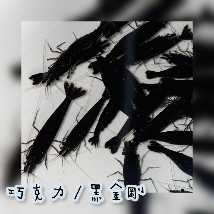 photo-output 17