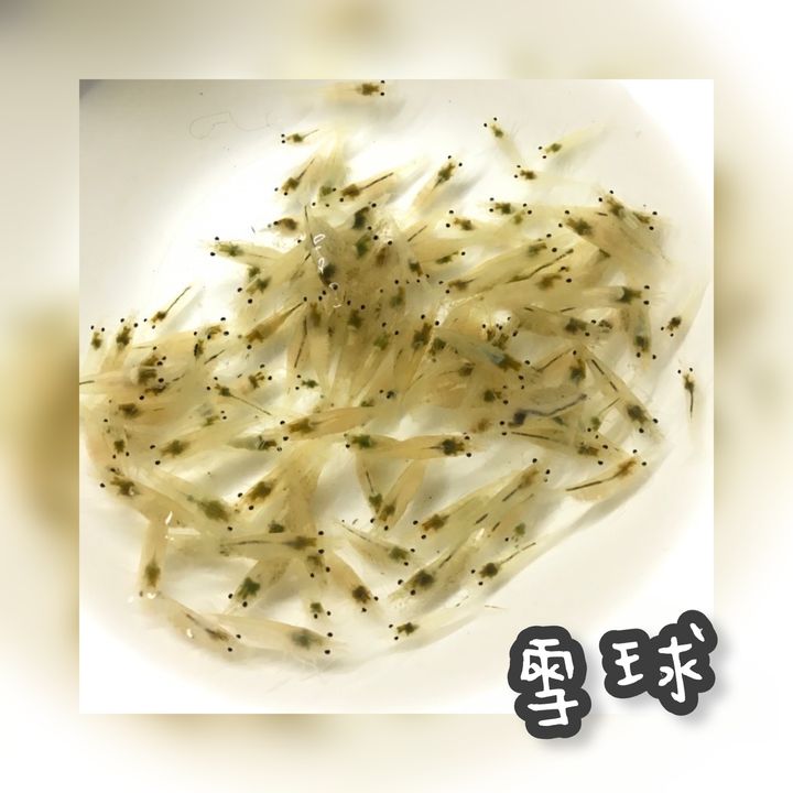 photo-output 18