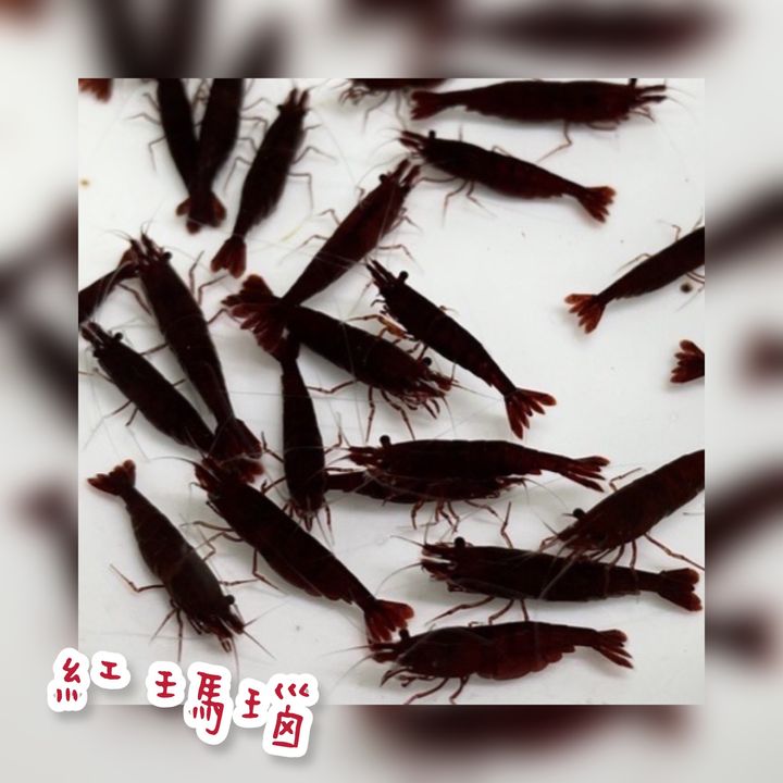 photo-output 5