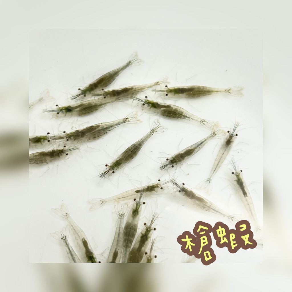 photo-output