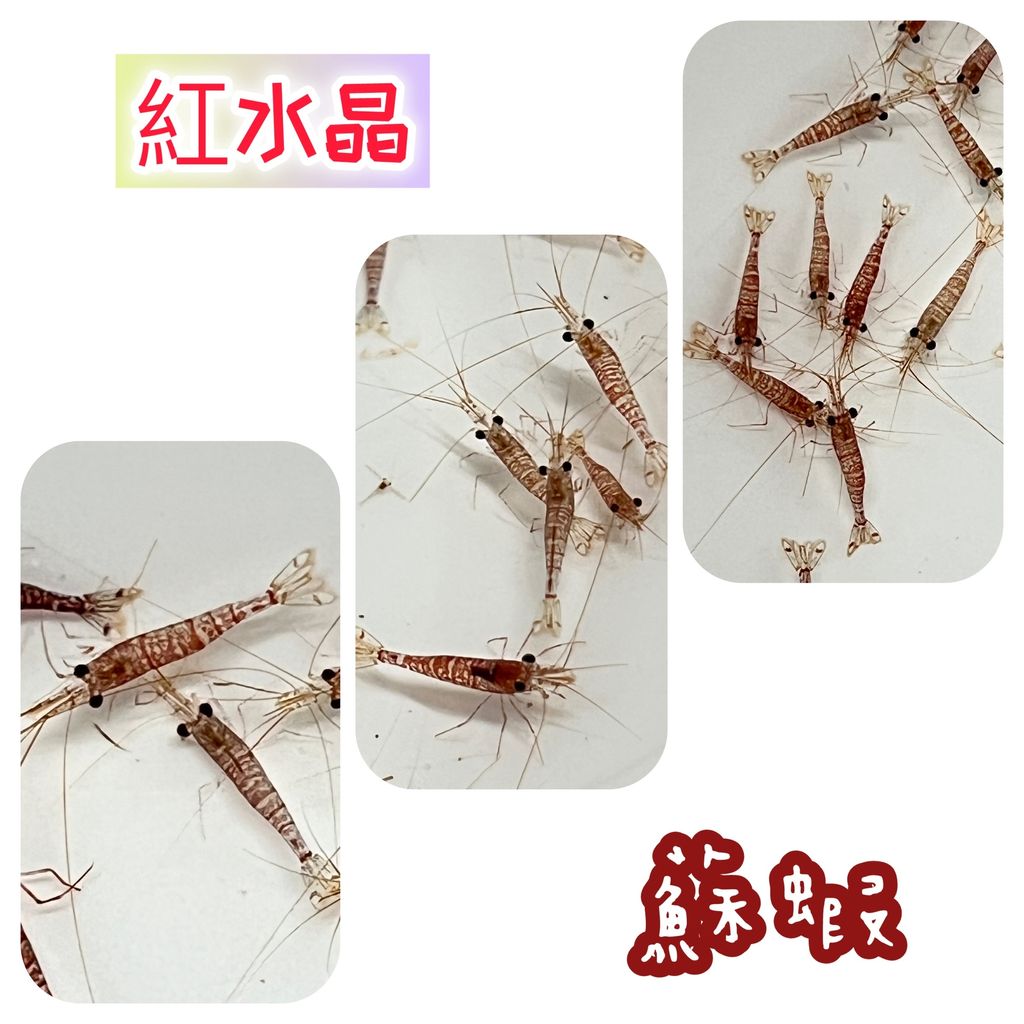 photo-output 3