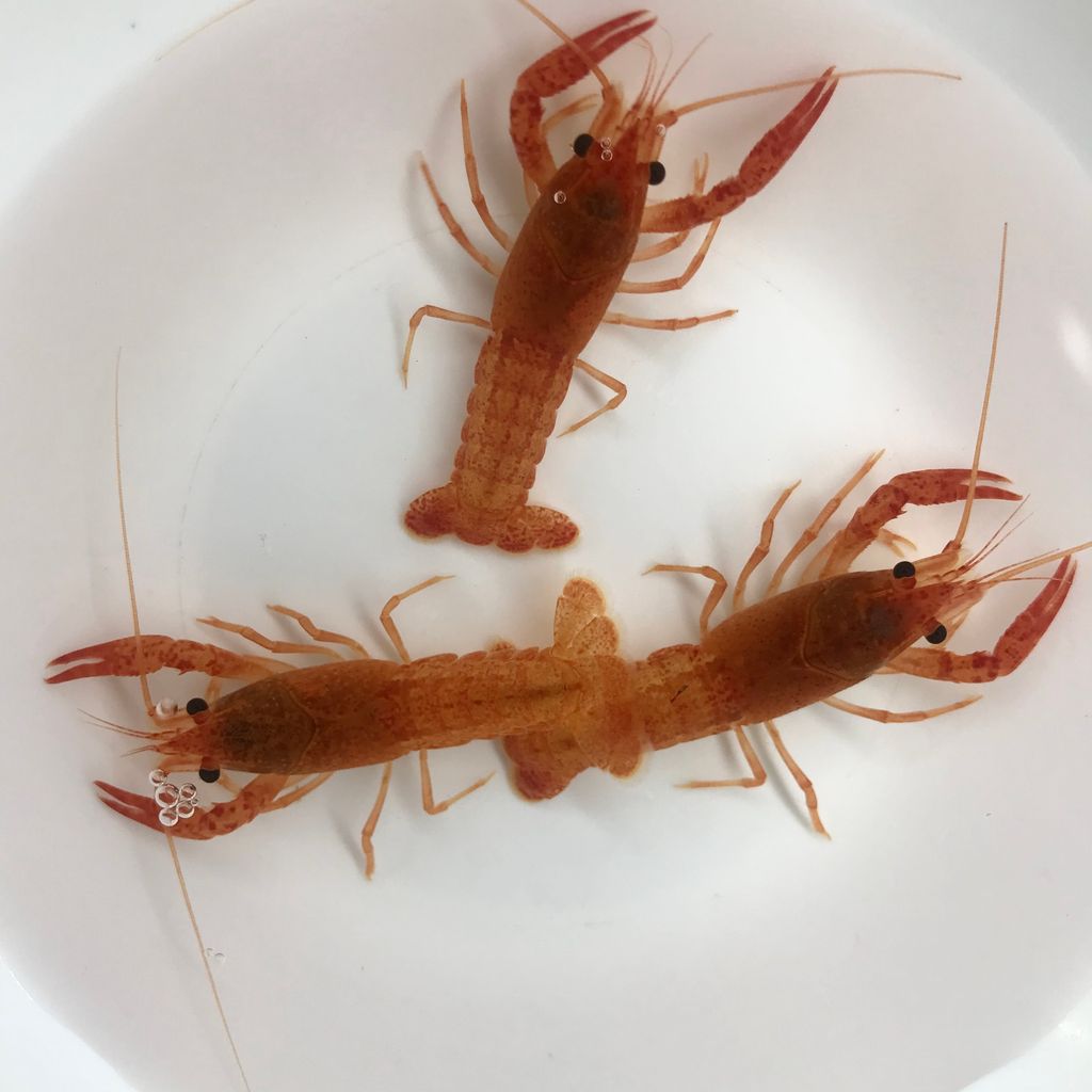 IMG_4484-1718607916043