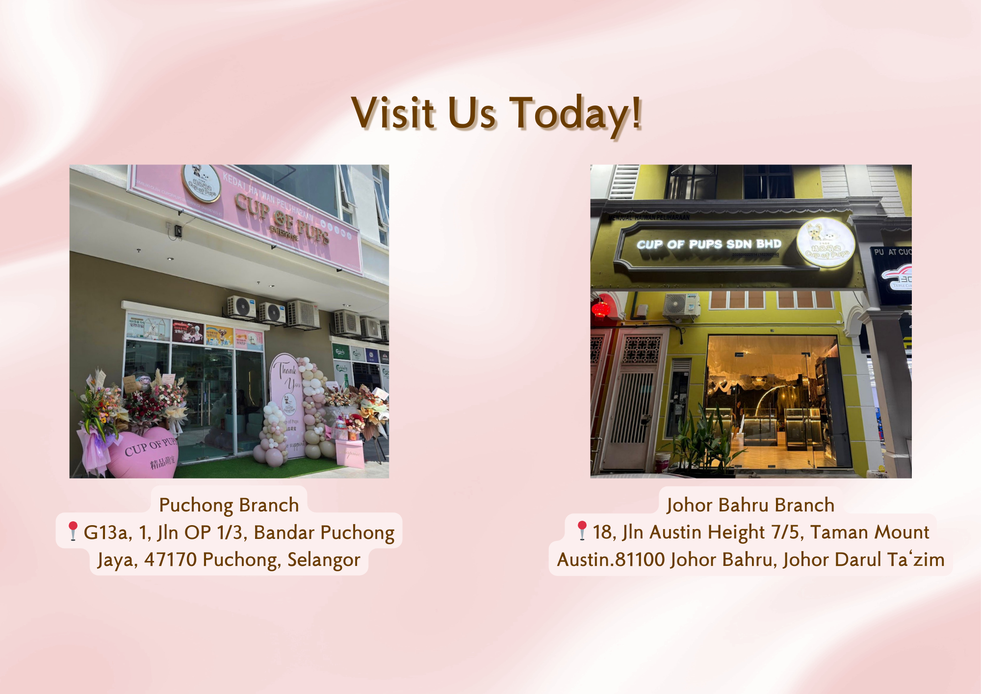 Please make appointment | Cupofpups