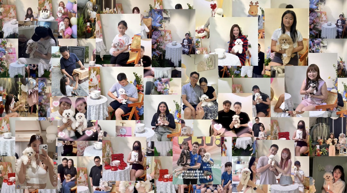 Customer Happiness Moments Collection | Cupofpups