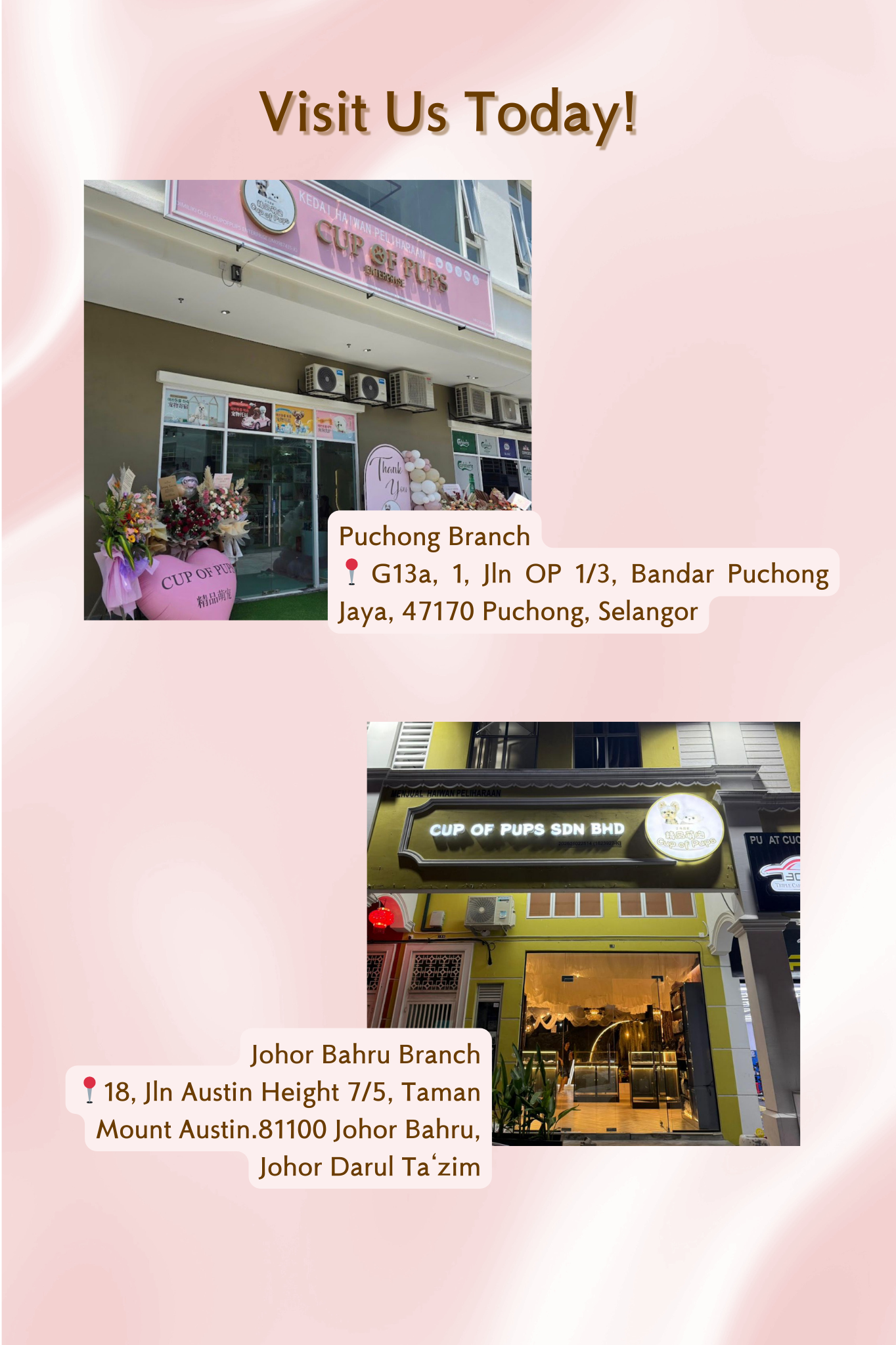 Please make appointment | Cupofpups