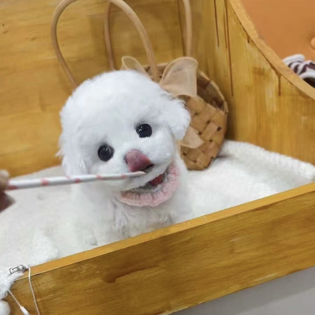 image_1F0ED356-683D-4606-83F0-FFF8AB0D96CF_1756123725
