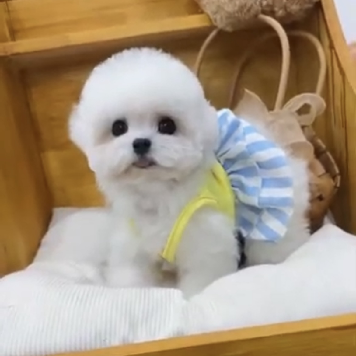 image_91C81B77-0C27-48B1-A7C5-38AFC442A63D_1762844354