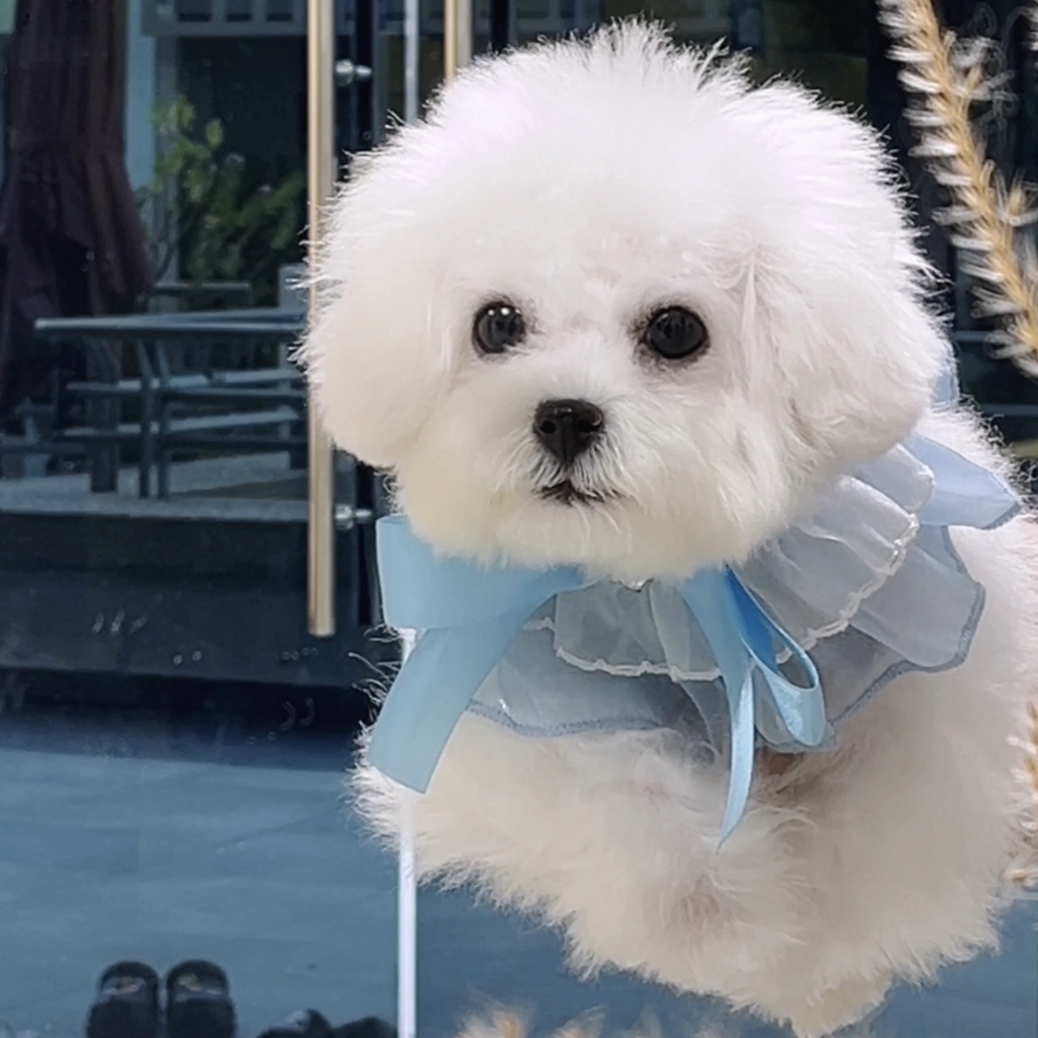 image_0C6311A8-738B-4F29-B4CF-2D4951126AC9_1762844591