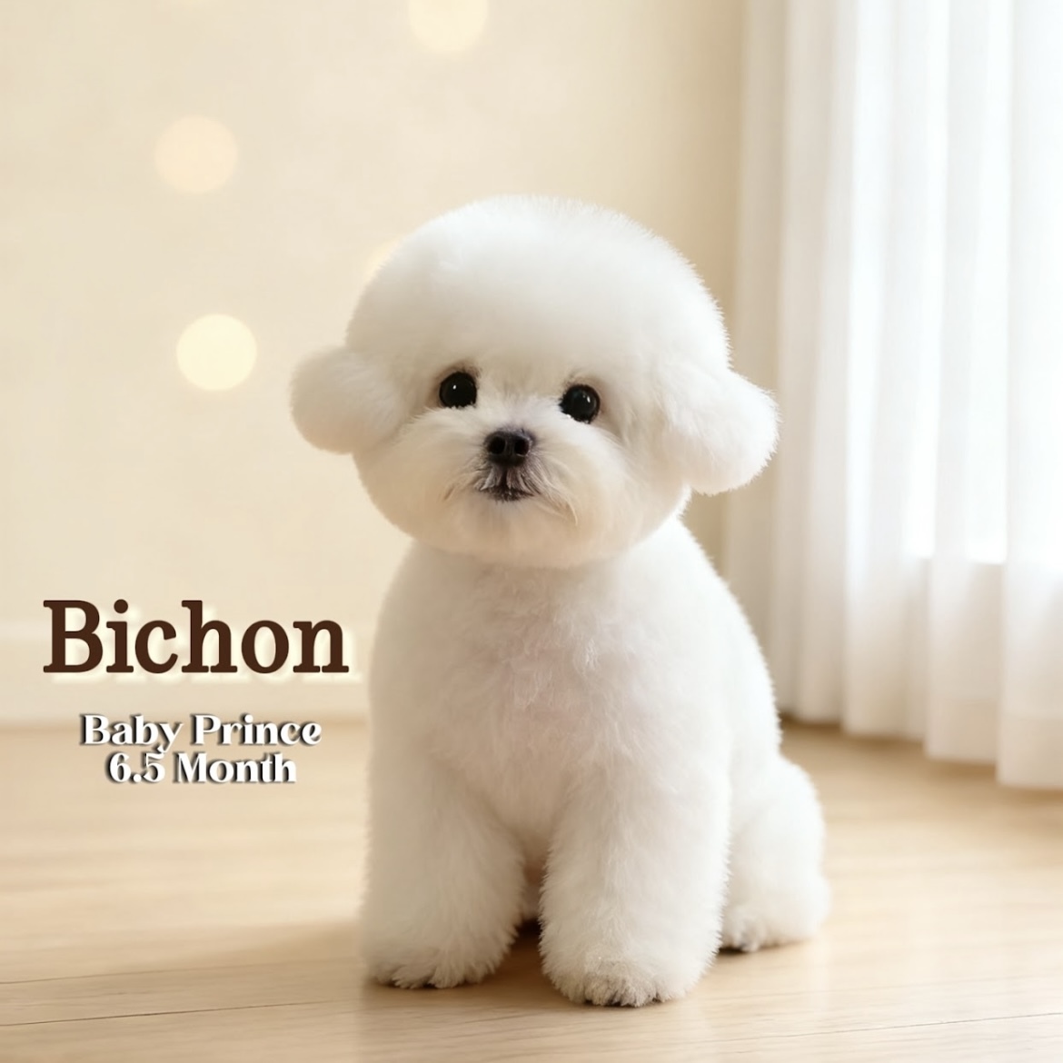 image_F0E19702-441F-43D3-B451-E44B1F5D1168_1762844934