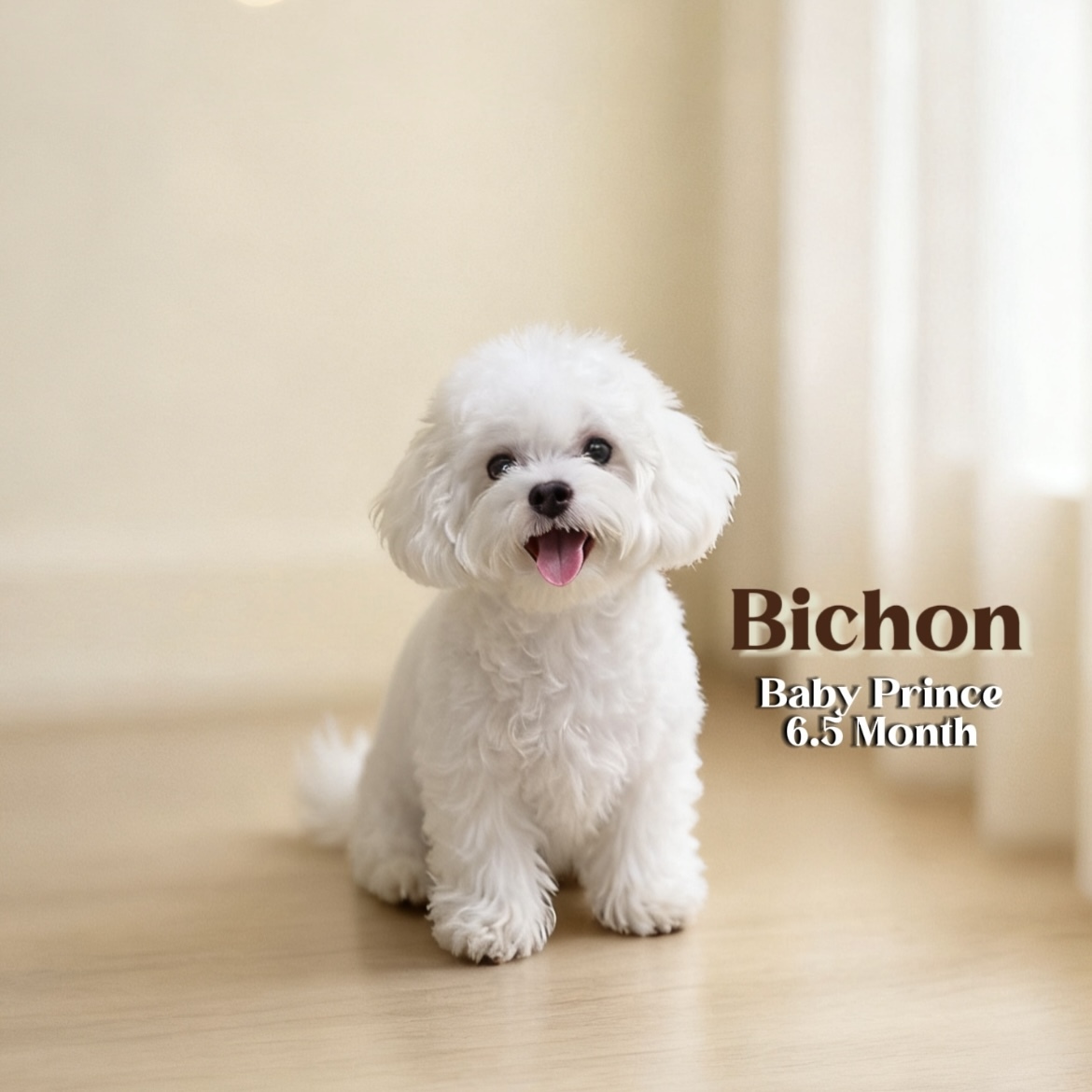 image_D0FCE288-FE04-461D-969E-72ED185EFEEF_1762844965