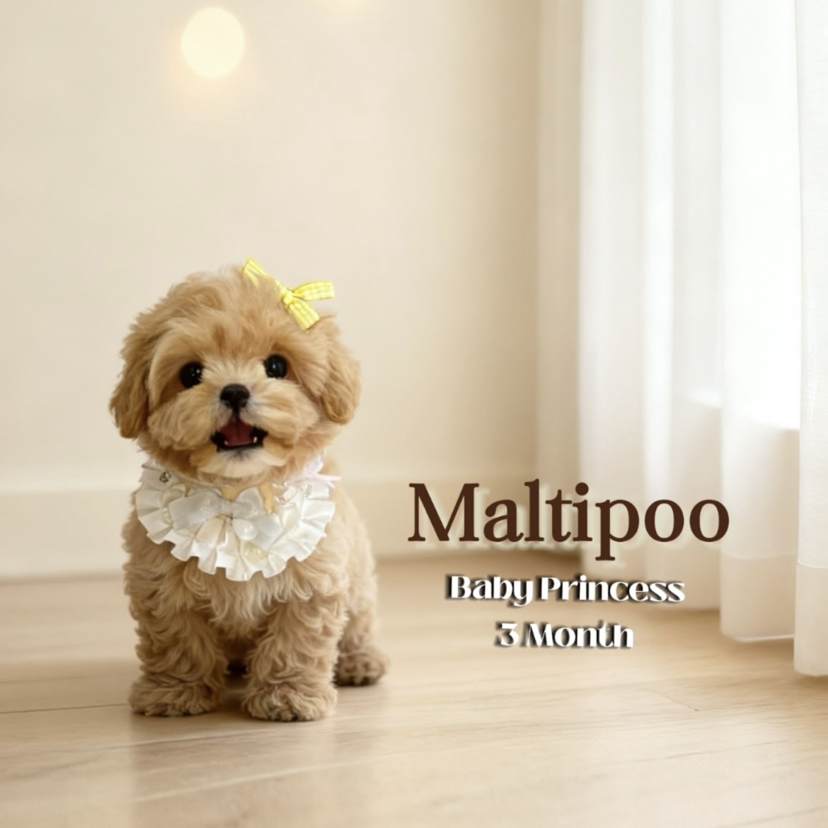 image_275B7283-49FF-493A-BDC6-9A93ED1EE541_1762844996