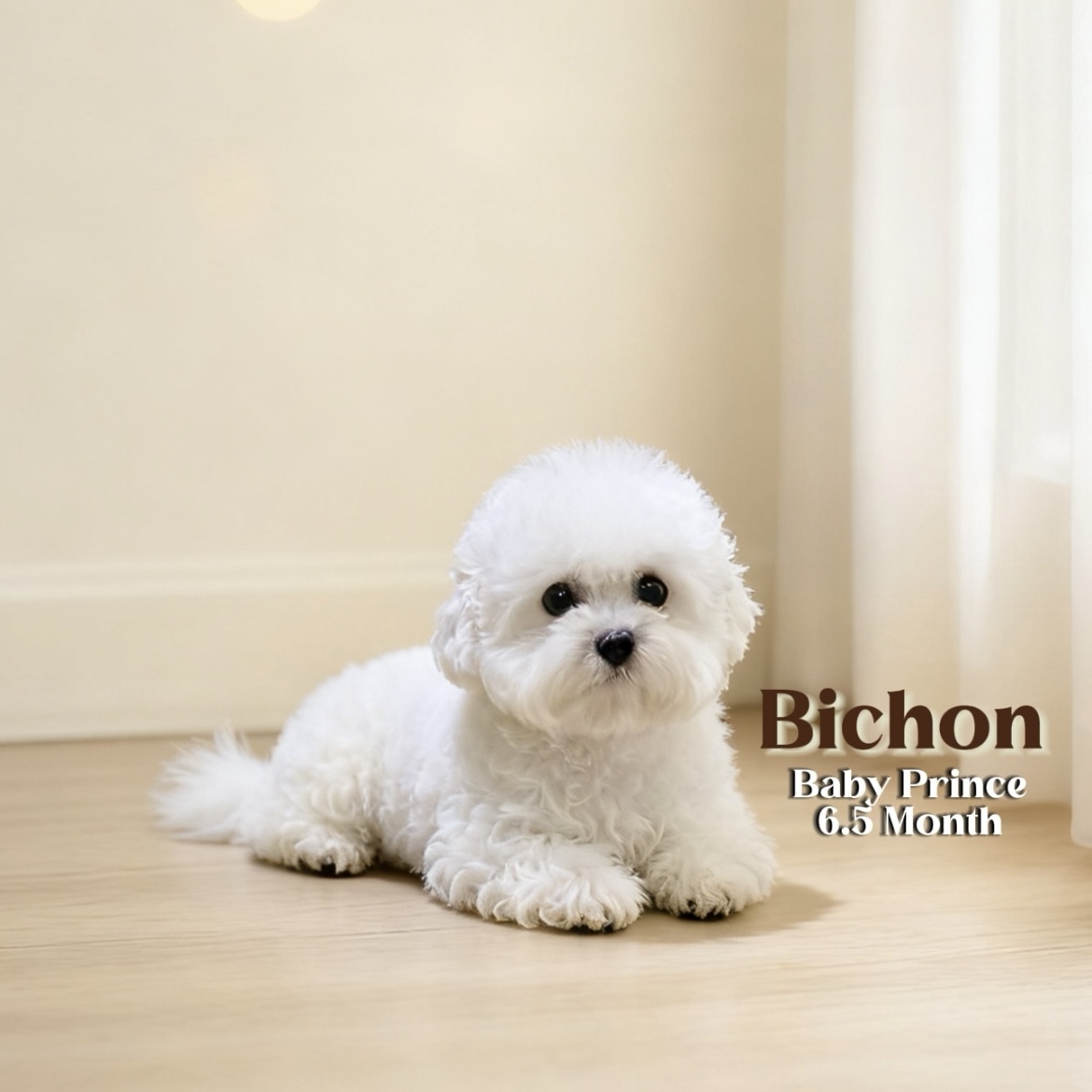 image_B29F3957-4BA3-4E8A-8770-9B89461A63B9_1762845023