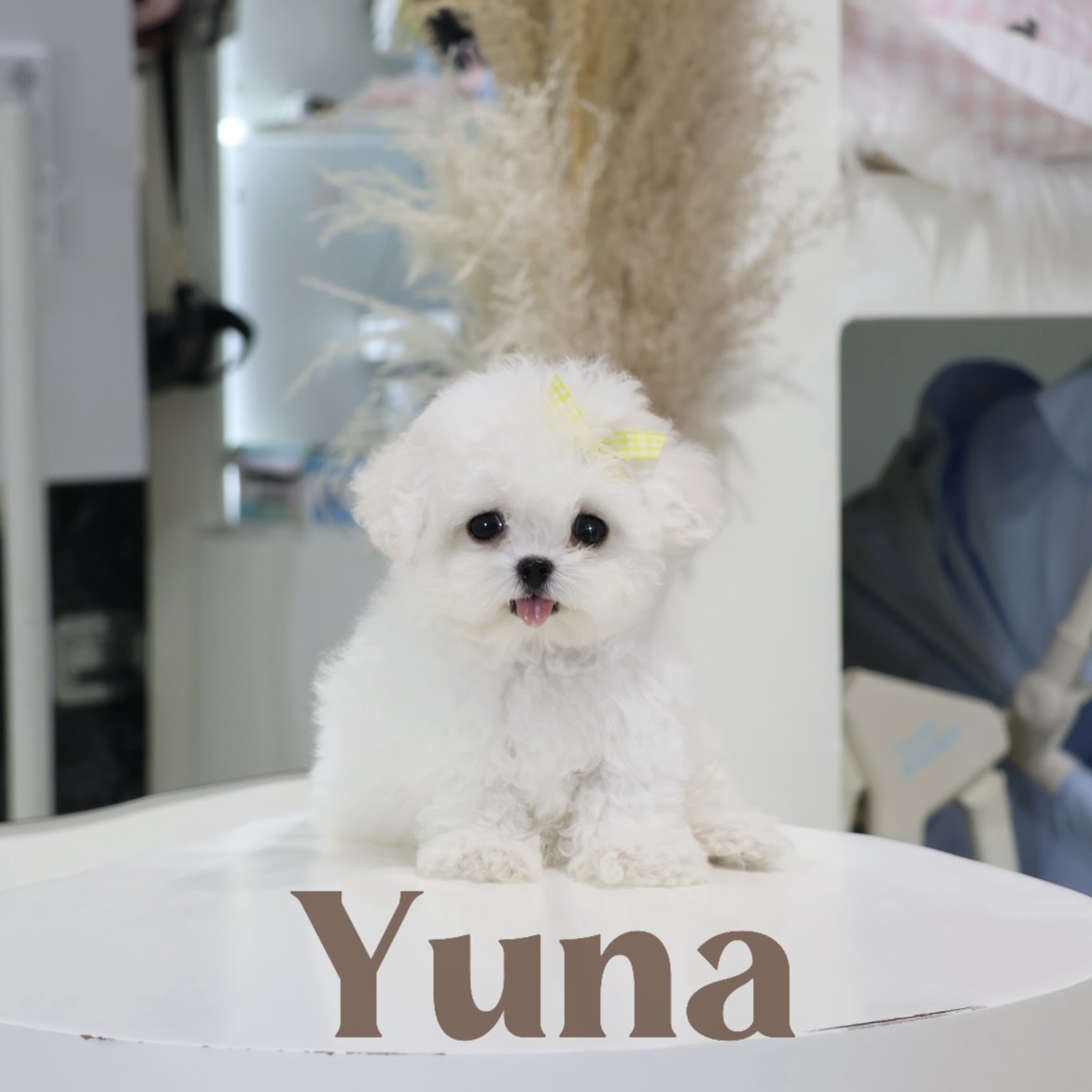 image_33F0B667-FD70-477C-896F-C0A7CBC80C42_1762845201