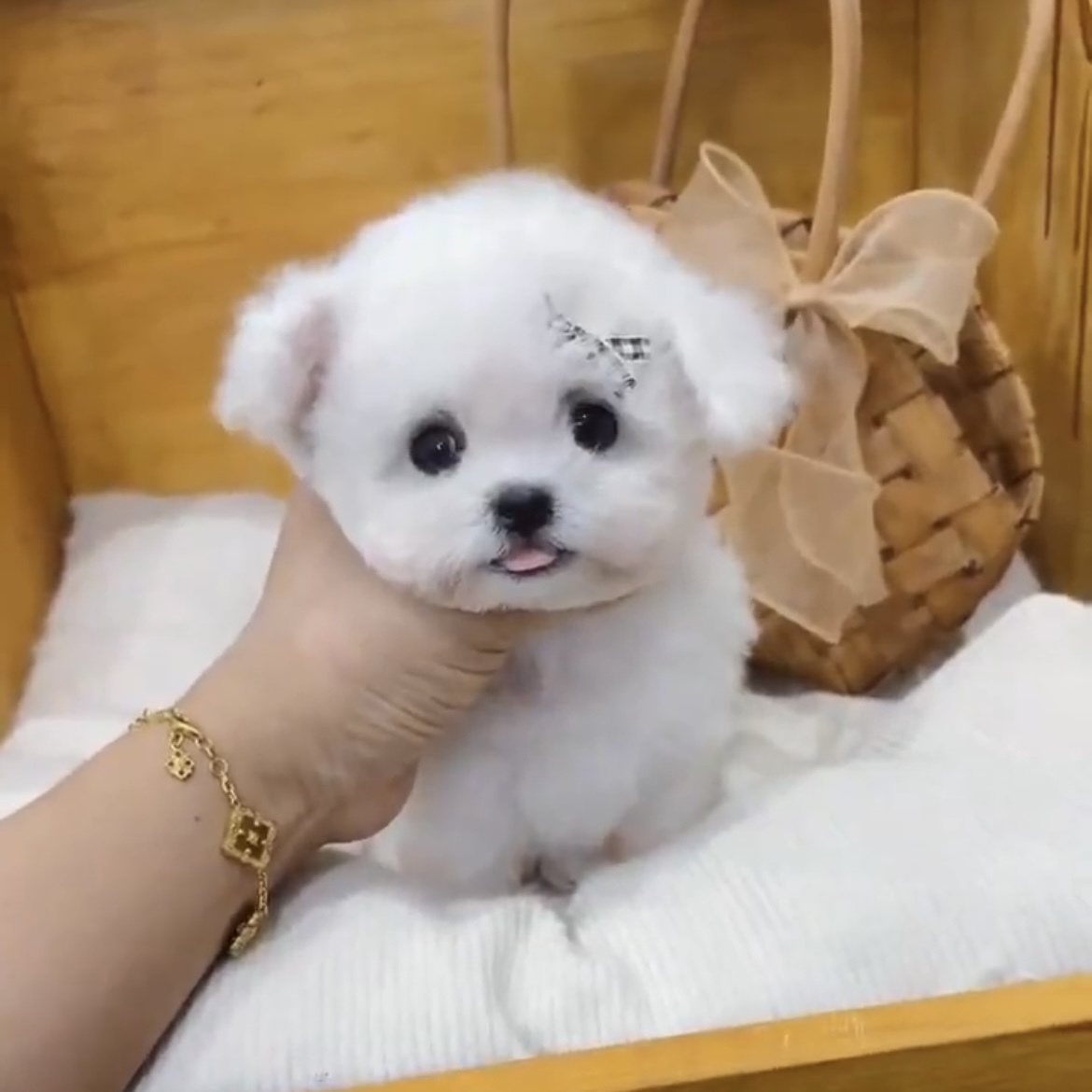 image_F0EEF9F1-C8FE-4ECB-885F-1271872F2DA2_1762845502