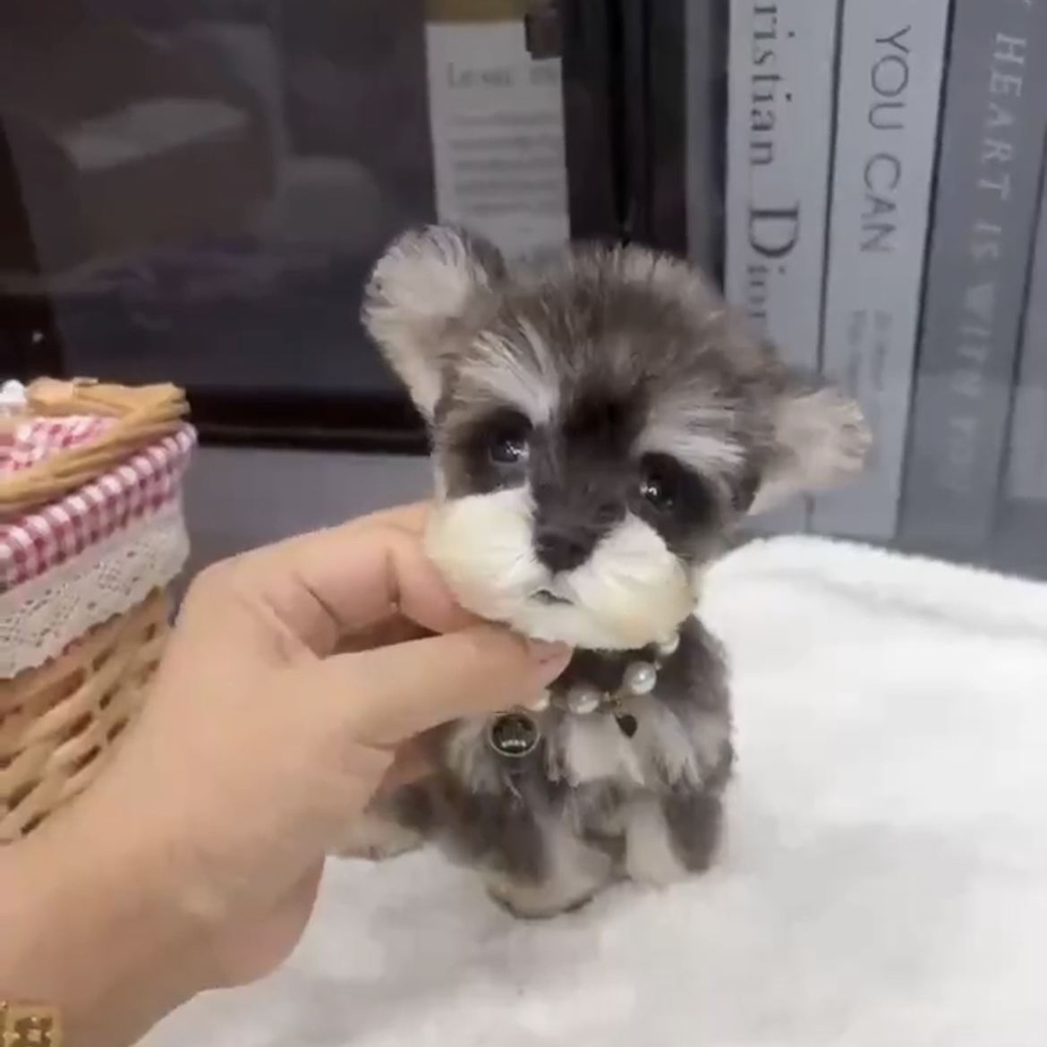 image_EC45ECA6-08FE-4D7A-8398-195DAB67AAA3_1762845561