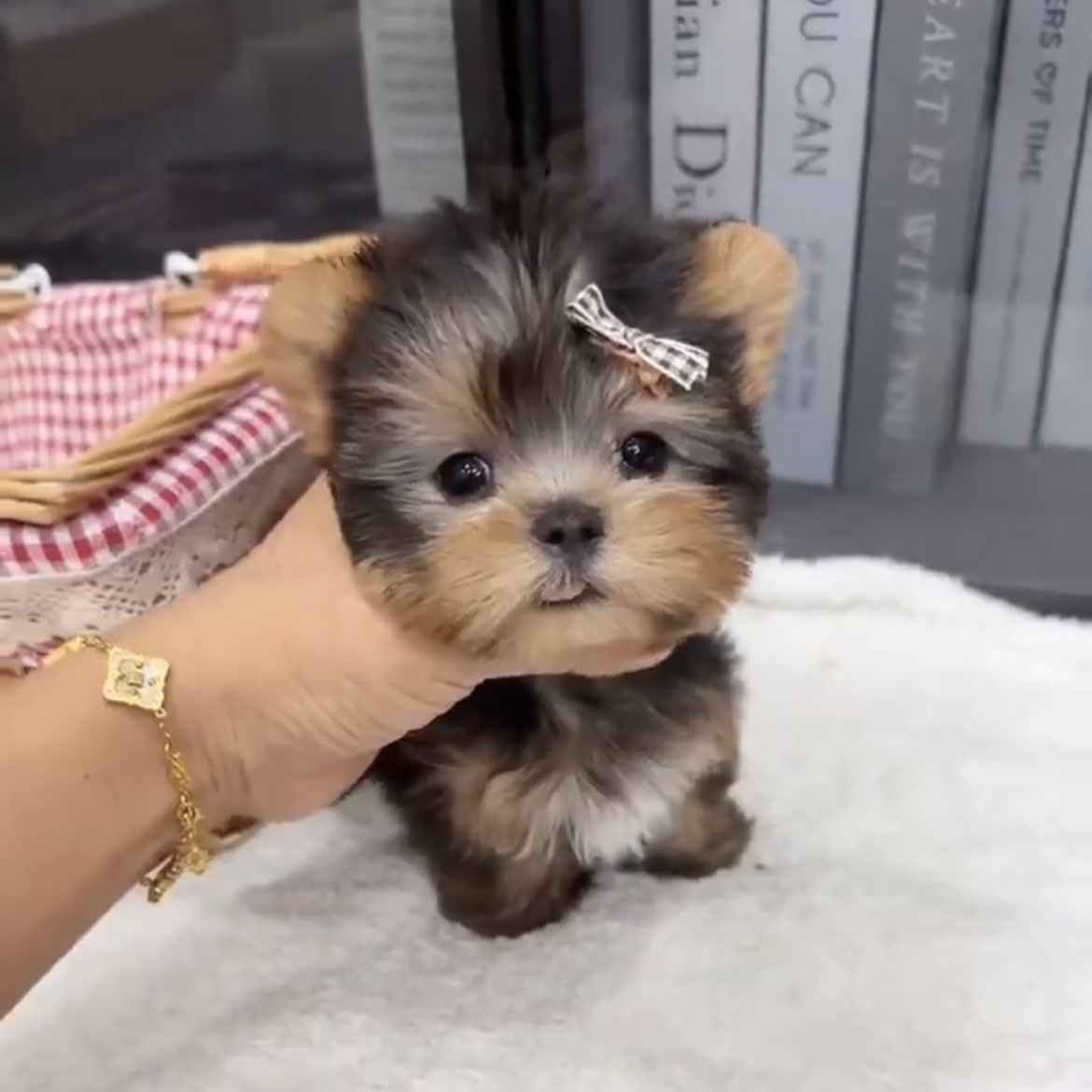 image_2745780F-C57B-4C3C-AA1E-8FEF91D121C0_1762845629