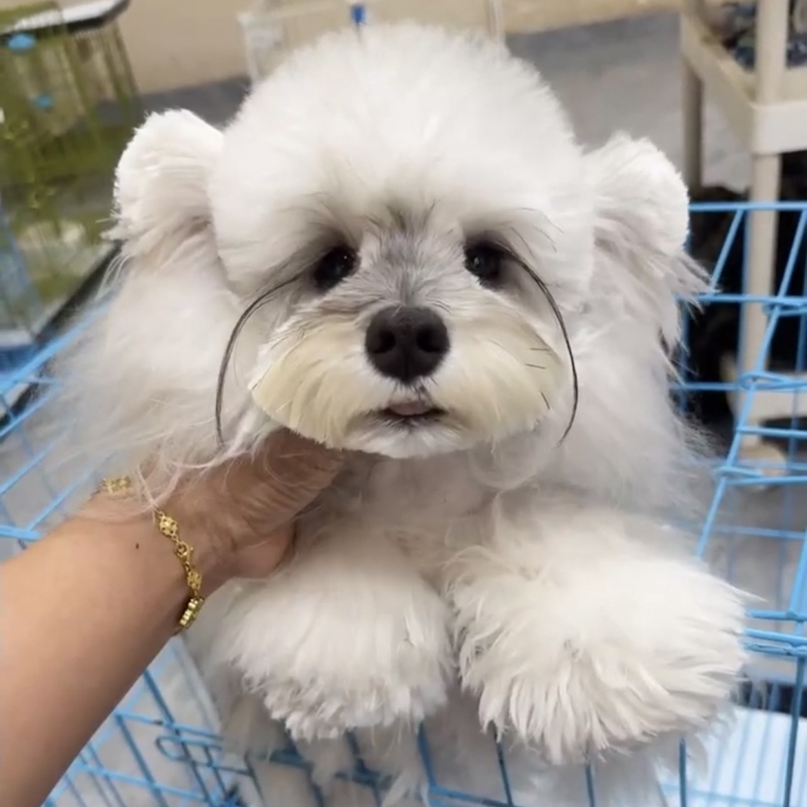 image_1358E2BF-10D0-41B3-8F40-CC898E681F72_1762846021