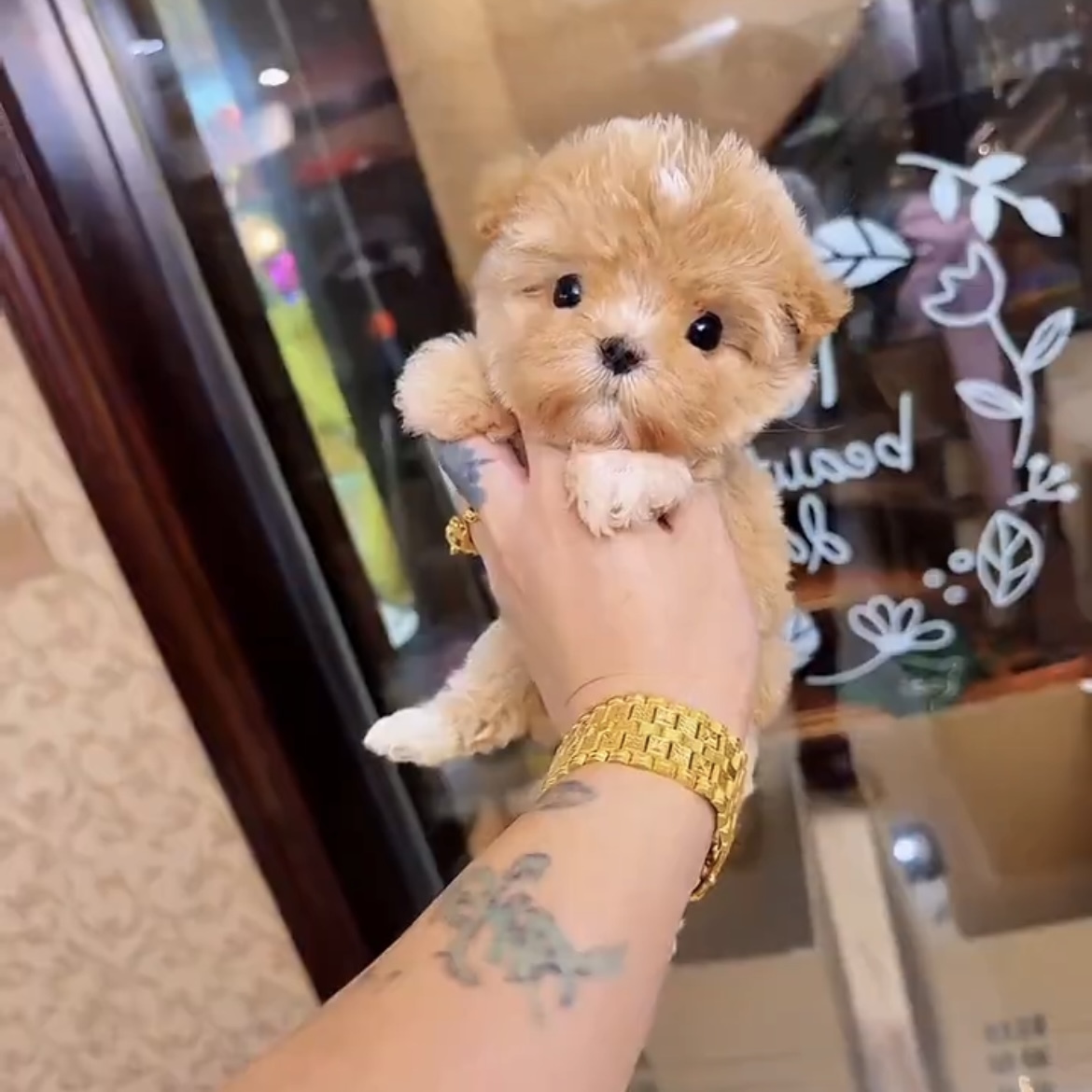 image_2B1AAF77-5129-4E6F-9B8F-4A6F52D432C5_1762846052