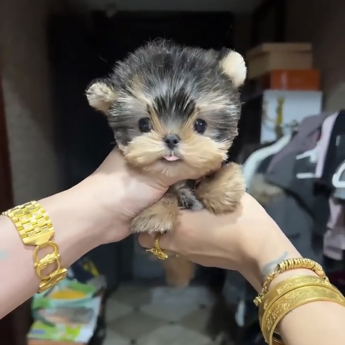 image_2BE30837-8116-4B84-B62A-988DB8DA3D6A_1762846085