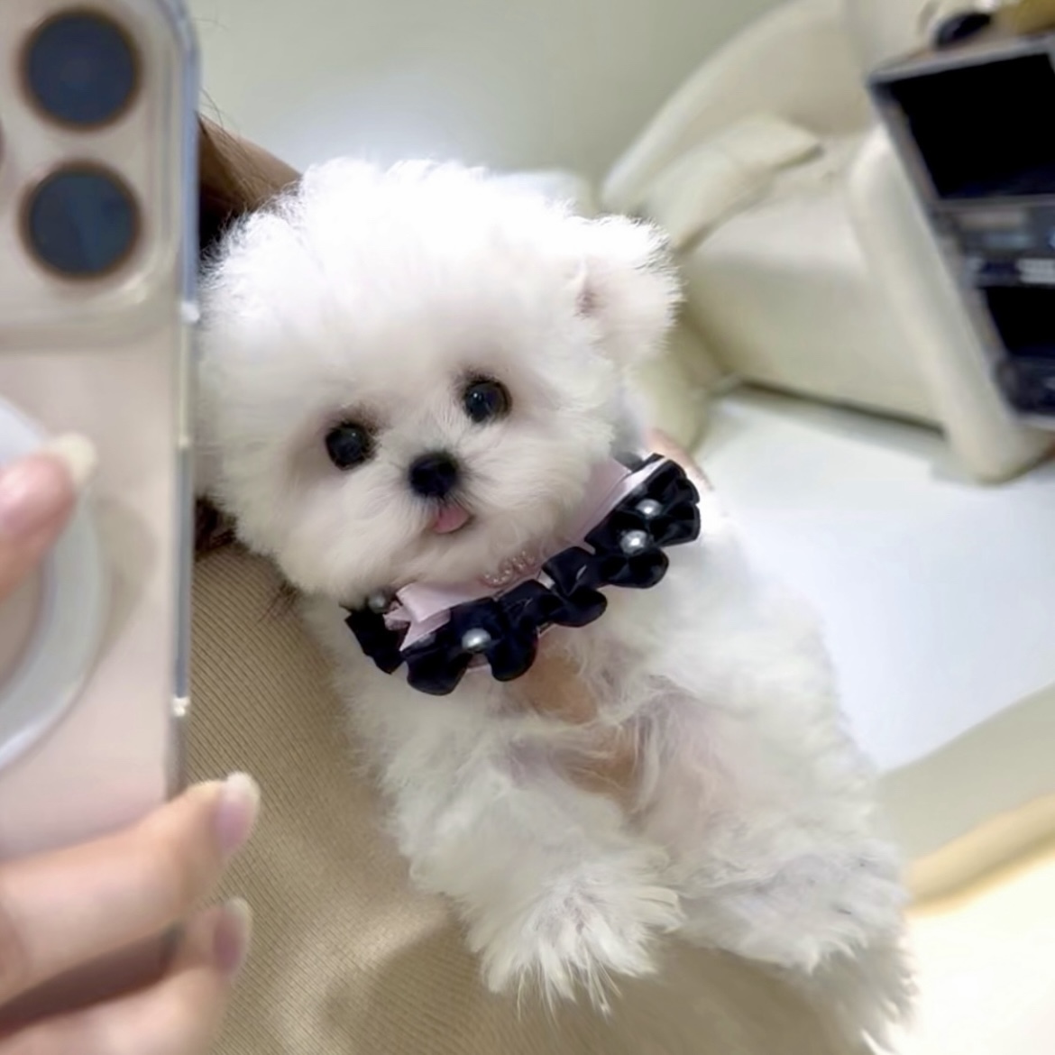 image_71FC8F5C-12CF-481C-B257-363C40700934_1762846713